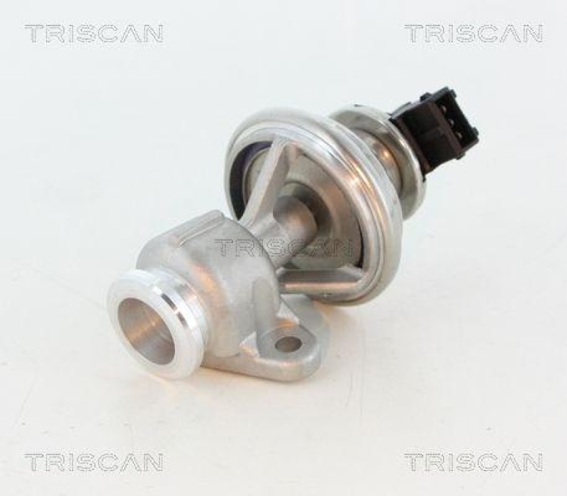 TRISCAN 8813 44010 Agr Ventil f&uuml;r Ssangyong