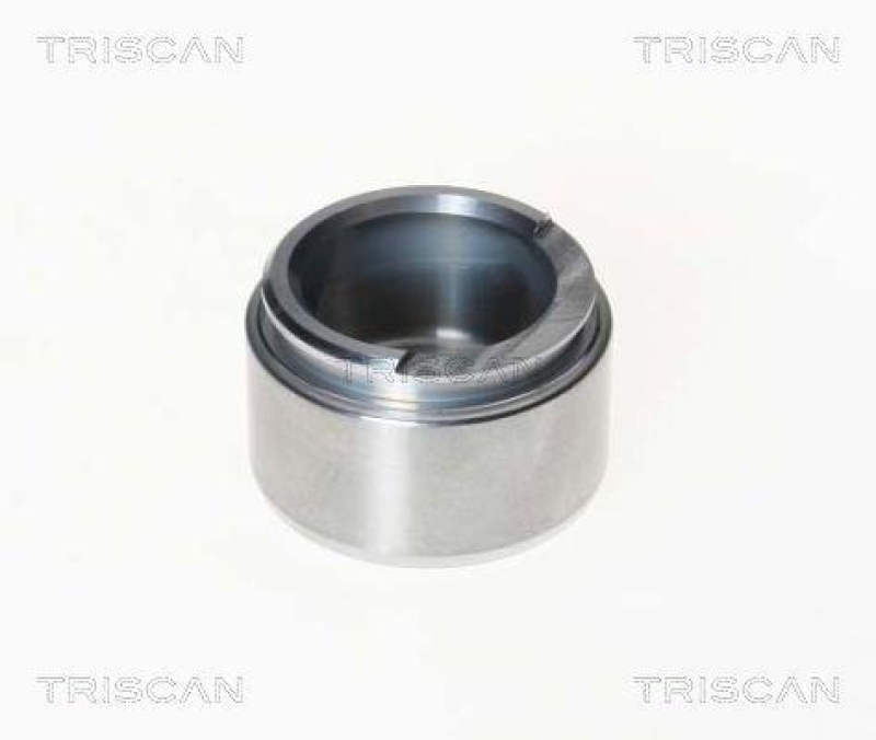 TRISCAN 8170 234809 Kolben f&uuml;r Alfa Romeo, Bmw, Opel