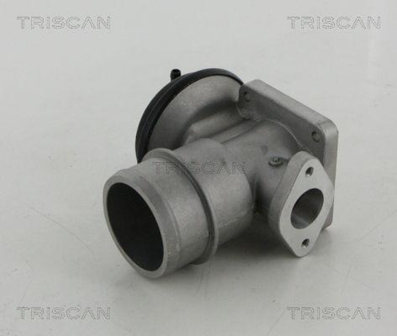 TRISCAN 8813 44030 Agr Ventil f&uuml;r Ssangyong