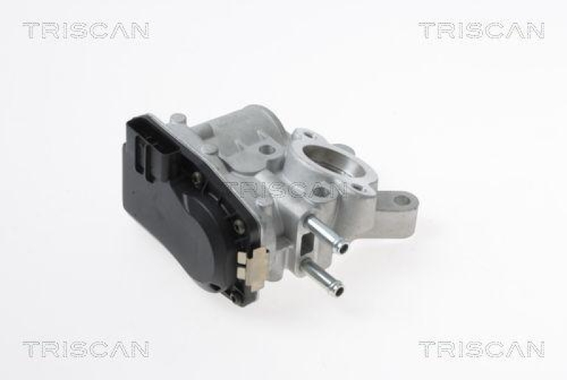 TRISCAN 8813 14100 Agr Ventil f&uuml;r Nissan