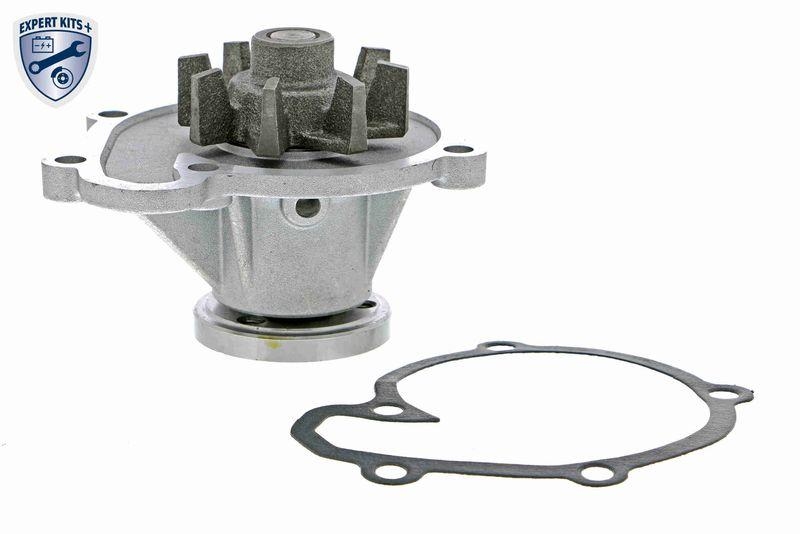 ACKOJA A38-50004 Wasserpumpe, Motork&uuml;hlung mit Dichtung f&uuml;r NISSAN