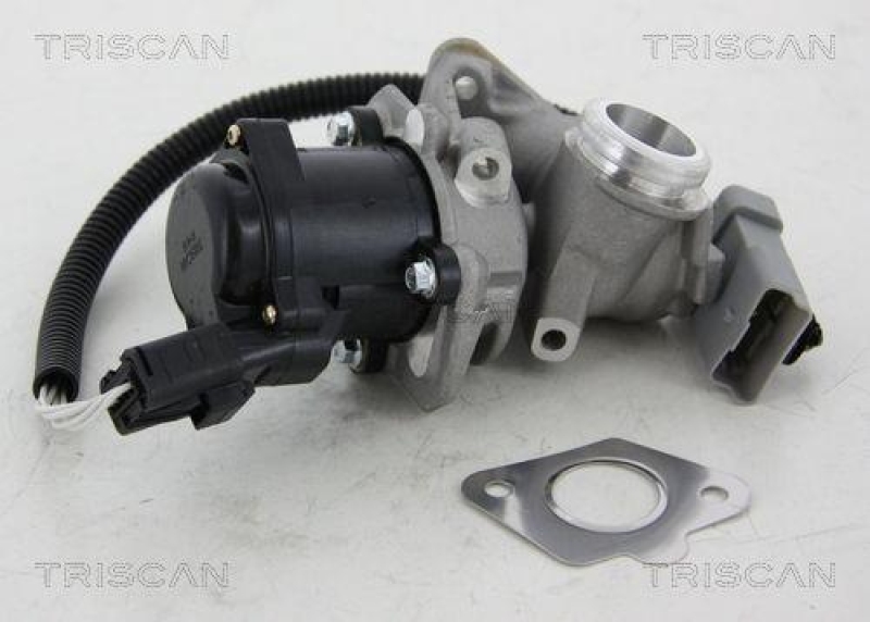 TRISCAN 8813 16034 Agr Ventil f&uuml;r Ford/Volvo/Mazda