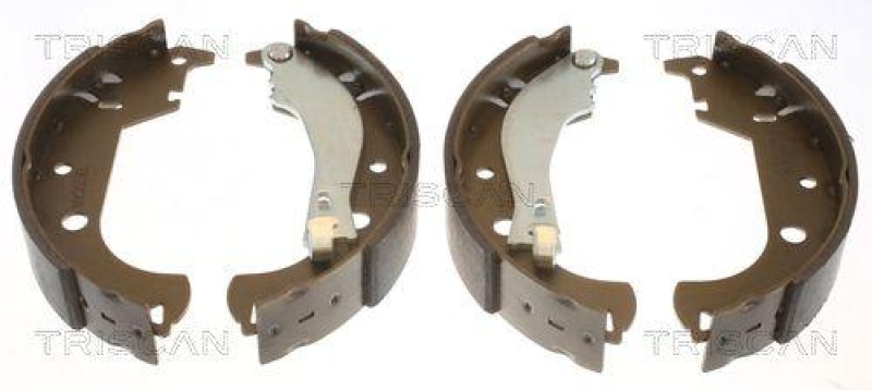 TRISCAN 8100 15014 Bremsbacken f&uuml;r Fiat Doblo
