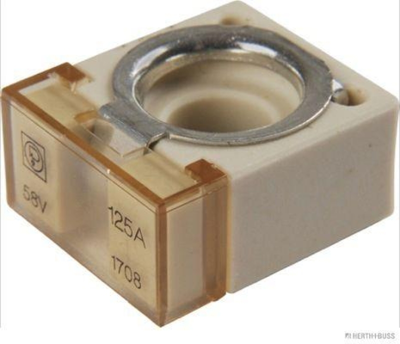 HERTH+BUSS 50295883 Sicherung CF, 125 A
