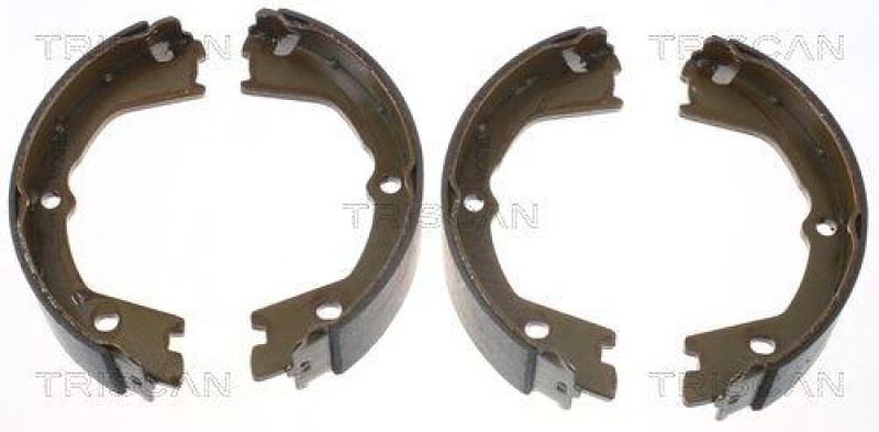 TRISCAN 8100 15019 Bremsbacken, Feststellbremse f&uuml;r Iveco