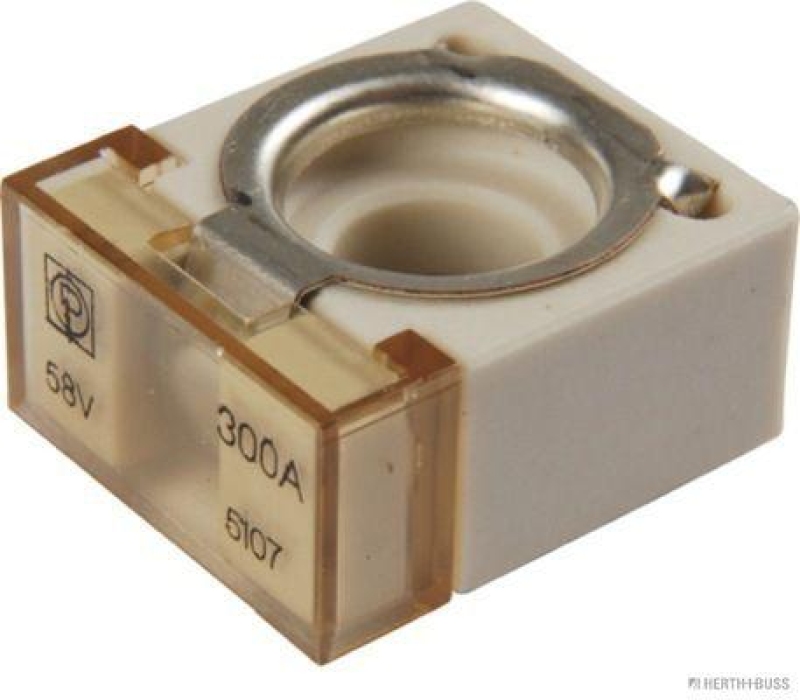 HERTH+BUSS 50295888 Sicherung CF, 300 A