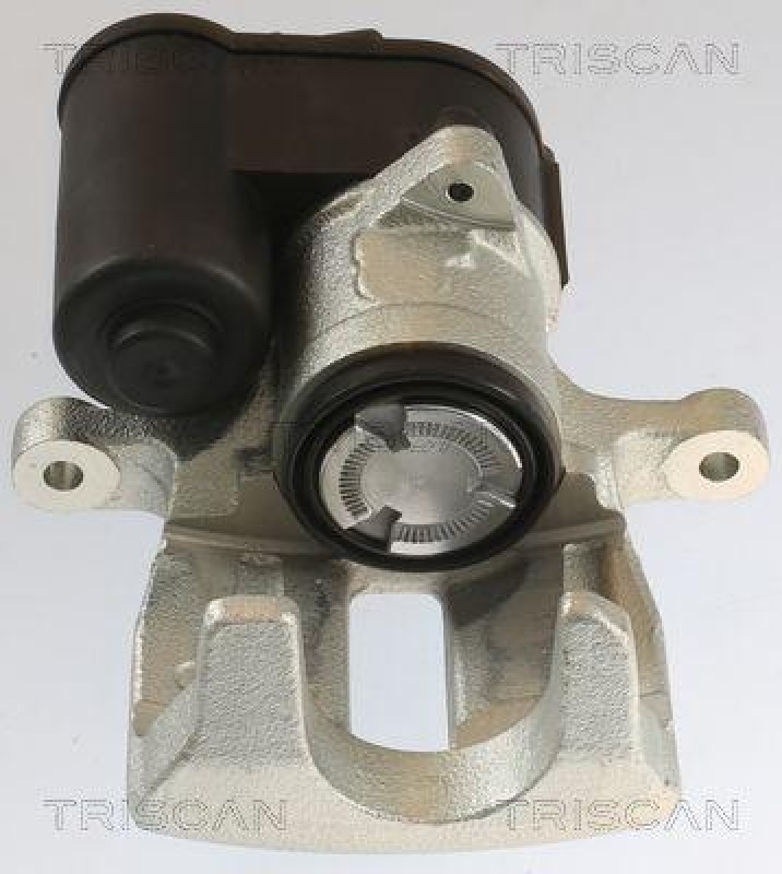 TRISCAN 8175 29231 Triscan Bremssattel f&uuml;r Vag