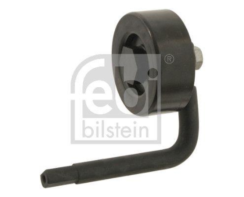FEBI BILSTEIN 30118 Spannrolle mit Halter, f&uuml;r Keilrippenriemen f&uuml;r BMW