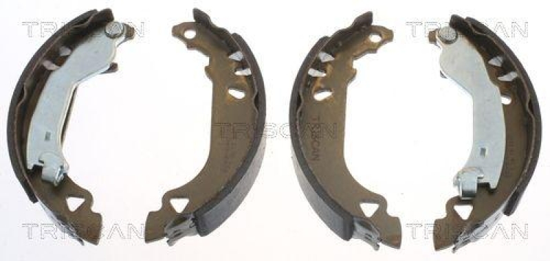 TRISCAN 8100 15482 Bremsbacken f&uuml;r Fiat Tipo