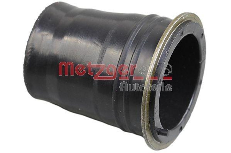 METZGER 0873020 Dichtung, Düsenhalter für MAZDA