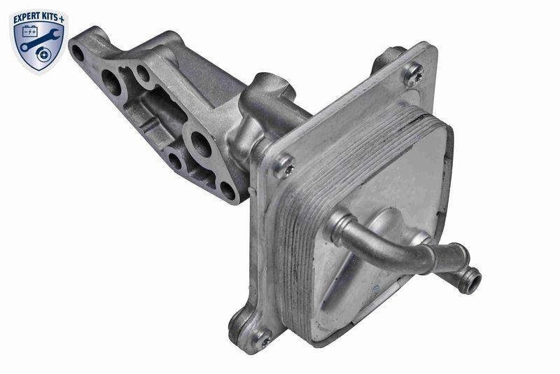 ACKOJA A38-60-0005 Ölkühler, Motoröl für NISSAN