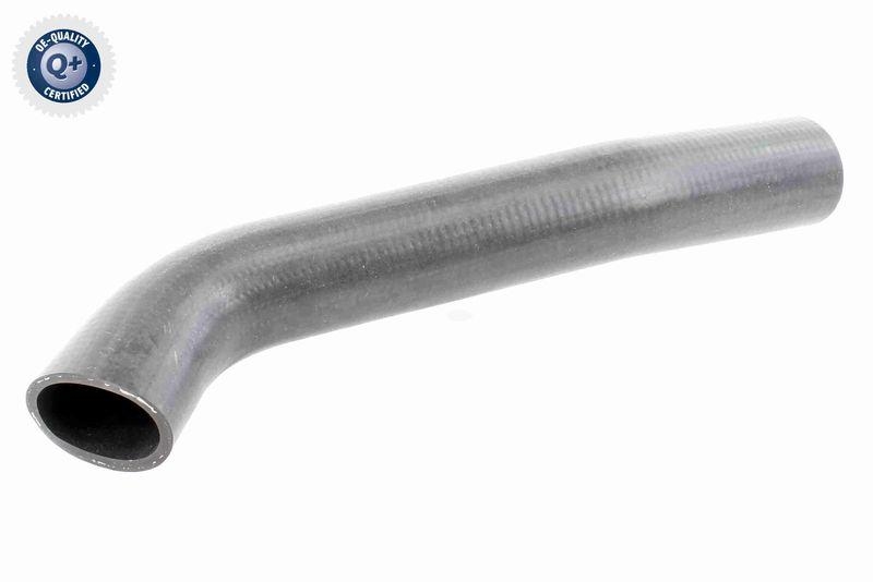 VAICO V30-1968 K&uuml;hlerschlauch K&uuml;hler, Anschlu&szlig; unten f&uuml;r MERCEDES-BENZ