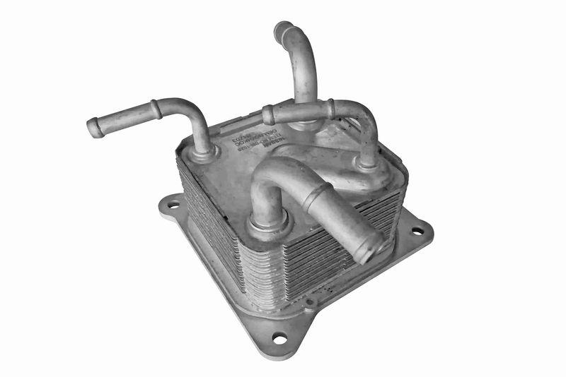 ACKOJA A38-60-0011 Ölkühler, Automatikgetriebe mit Dichtung für NISSAN