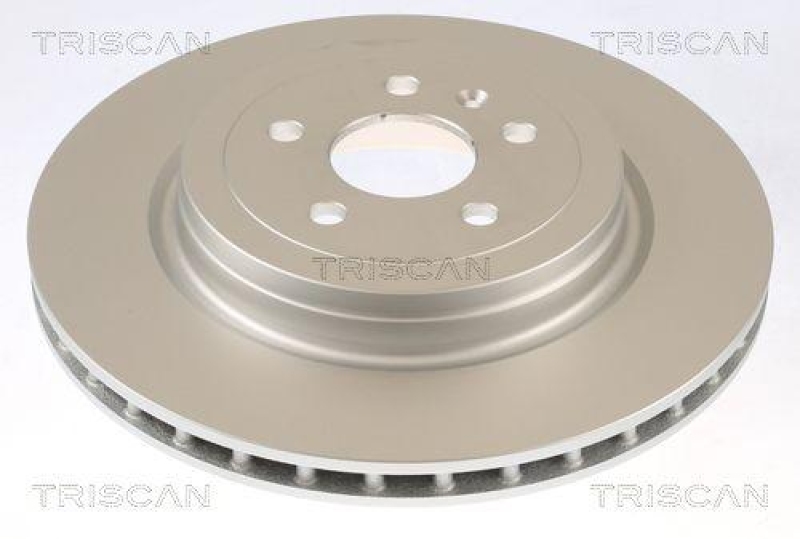 TRISCAN 8120 81002c Bremsscheibe Hinten, Coated f&uuml;r Tesla