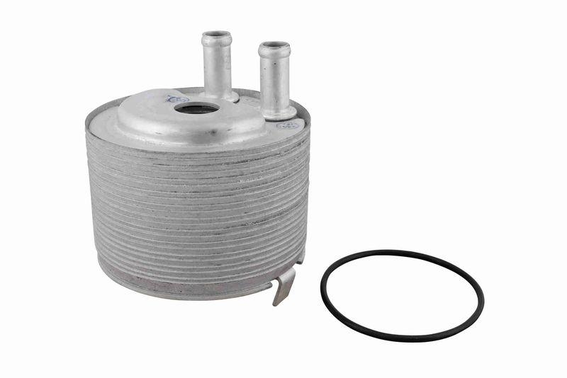 ACKOJA A38-60-0012 Ölkühler, Motoröl mit Dichtung für NISSAN