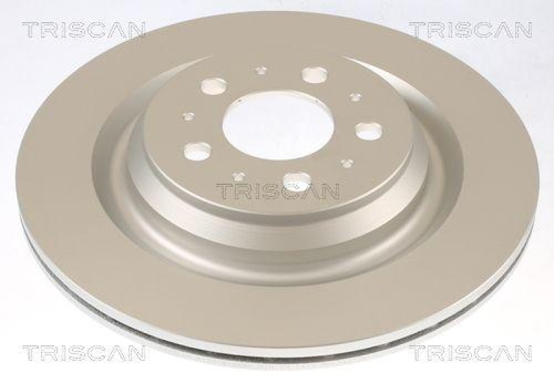TRISCAN 8120 81004c Bremsscheibe Hinten, Coated f&uuml;r Tesla