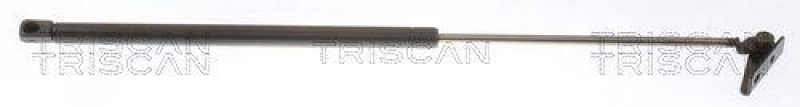 TRISCAN 8710 43204 Gasfeder Hinten f&uuml;r Hyundai Atos