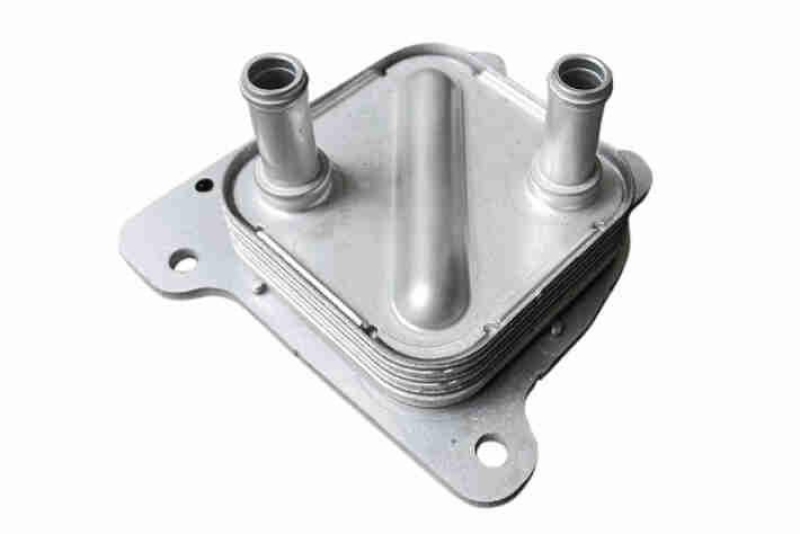 ACKOJA A38-60-0020 Ölkühler, Motoröl mit Dichtung für NISSAN