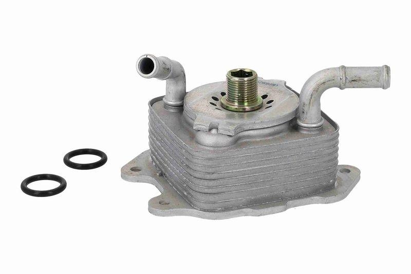 ACKOJA A38-60-0024 Ölkühler, Motoröl für INFINITI