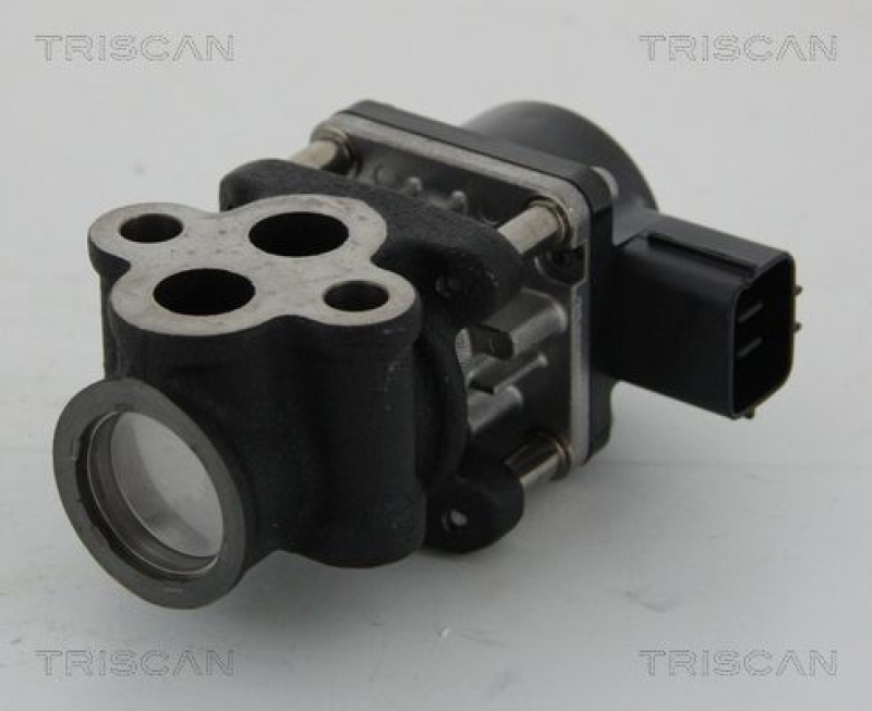 TRISCAN 8813 24033 Agr Ventil für Opel/Gm