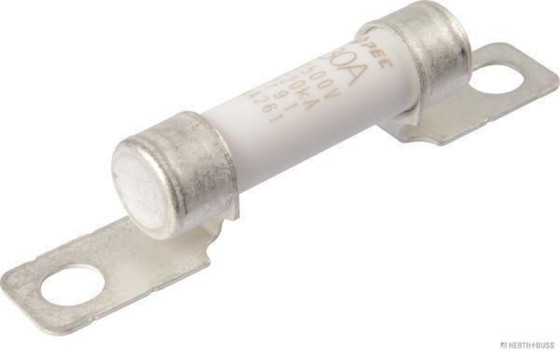 HERTH+BUSS 50295387 Sicherung HEV, 500 V, 30 A