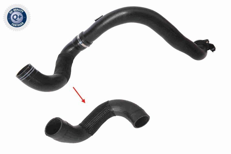 VAICO V24-1177 Ladeluftschlauch f&uuml;r FIAT