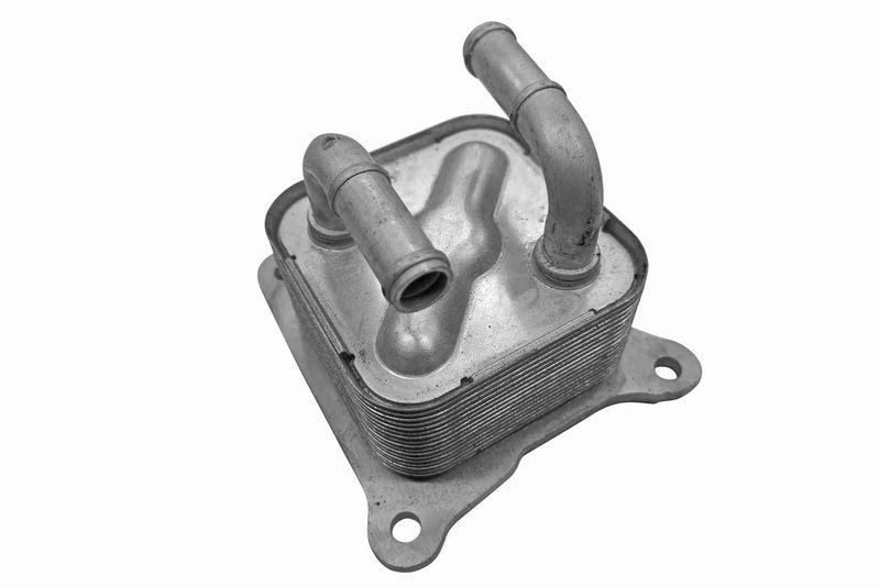 ACKOJA A38-60-0029 Ölkühler, Motoröl für NISSAN