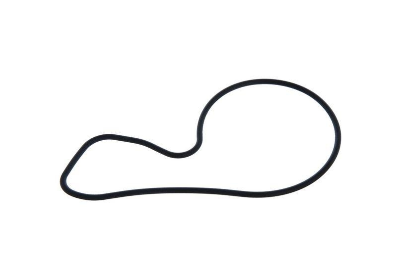 VALEO 529319 Wasserpumpe HONDA Accord