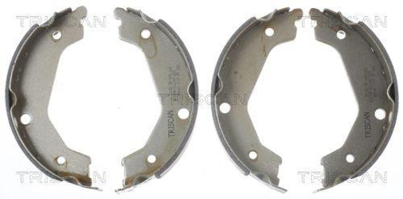 TRISCAN 8100 18004 Bremsbacken, Feststellbremse f&uuml;r Kia Sorento
