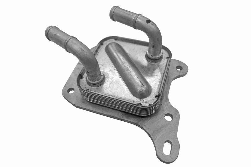 ACKOJA A38-60-0031 Ölkühler, Motoröl für NISSAN