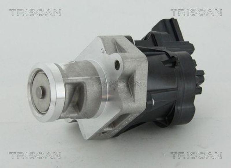 TRISCAN 8813 24083 Agr Ventil f&uuml;r Opel/Gm