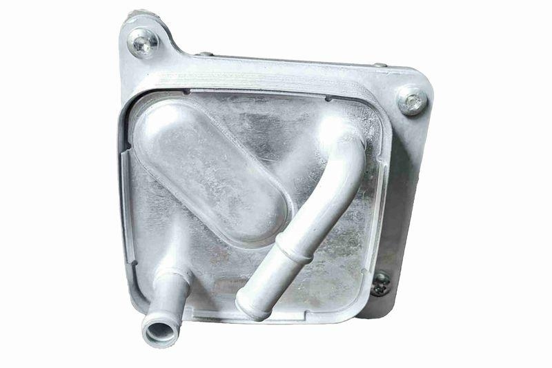 ACKOJA A38-60-0035 Ölkühler, Motoröl für NISSAN