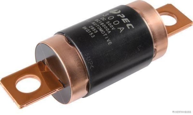 HERTH+BUSS 50295396 Sicherung HEV, 500 V, 300 A