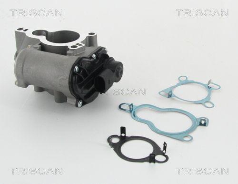 TRISCAN 8813 25010 Agr Ventil f&uuml;r Renault/Dacia