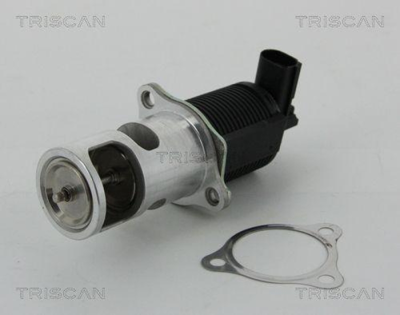 TRISCAN 8813 25038 Agr Ventil f&uuml;r Renault/Dacia
