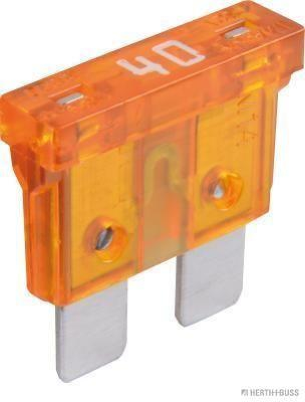 HERTH+BUSS 50295440066 Sicherung Standard, 40 A, 5 pcs