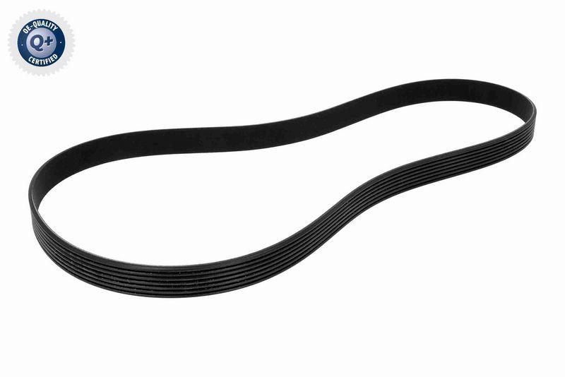 VAICO V24-1209 Keilrippenriemen für FIAT