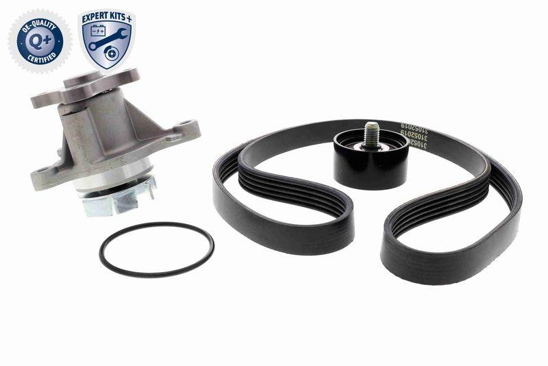 ACKOJA A52-0516 Keilrippenriemensatz mit Wasserpumpe für HYUNDAI
