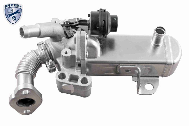 ACKOJA A38-63-0004 AGR-Ventil mit K&uuml;hler f&uuml;r NISSAN