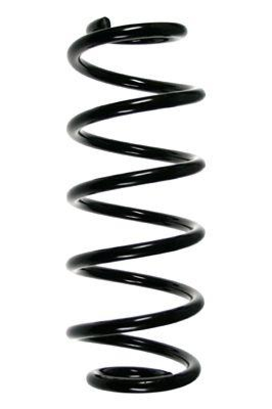 SPIDAN 56872 Fahrwerksfeder