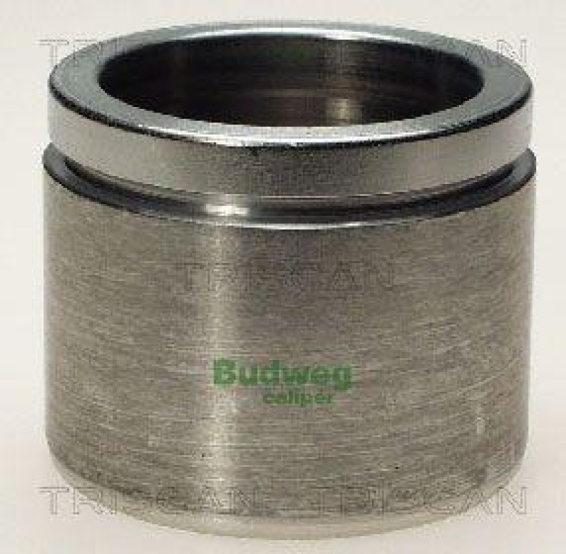 TRISCAN 8170 236032 Kolben f&uuml;r Audi, Jaguar