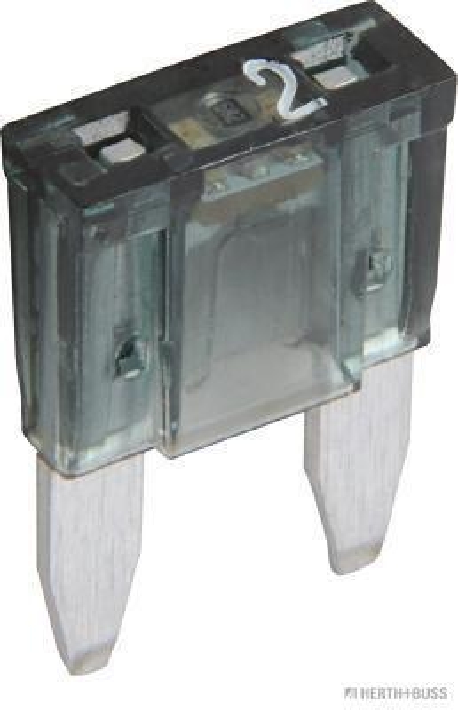 HERTH+BUSS 50295672066 Sicherung MINI Smart-Glow, 2 A, 10 pcs