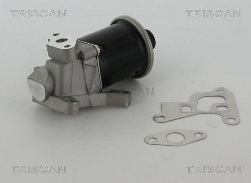 TRISCAN 8813 29100 Agr Ventil f&uuml;r Vw