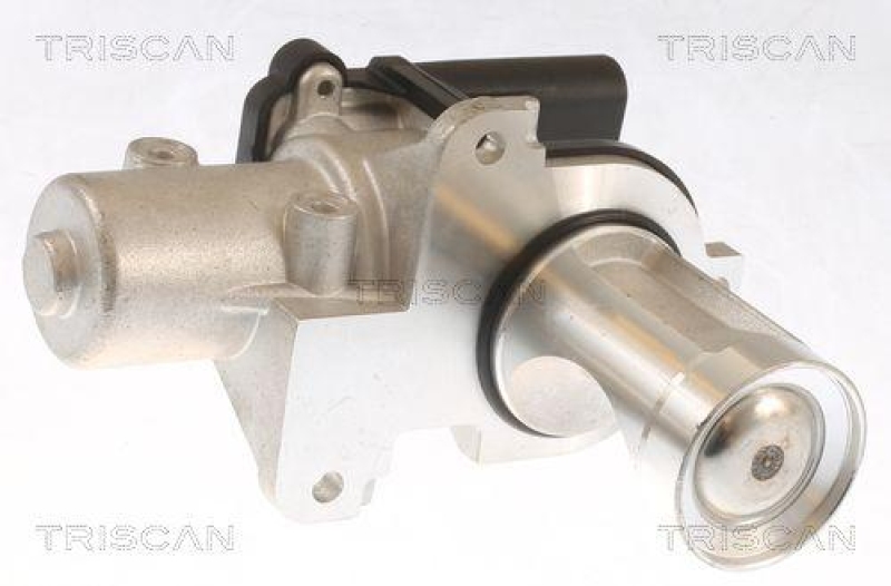 TRISCAN 8813 29101 Agr Ventil f&uuml;r Vw