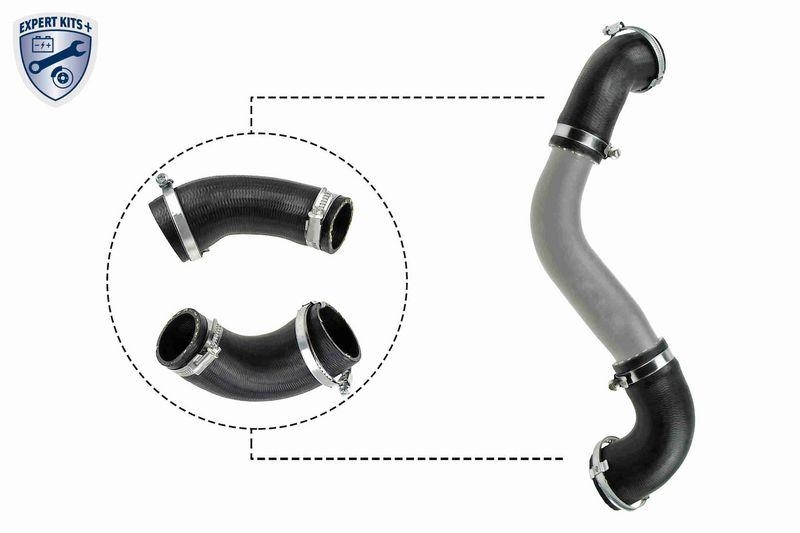 VAICO V25-1921 Ladeluftschlauch f&uuml;r FORD