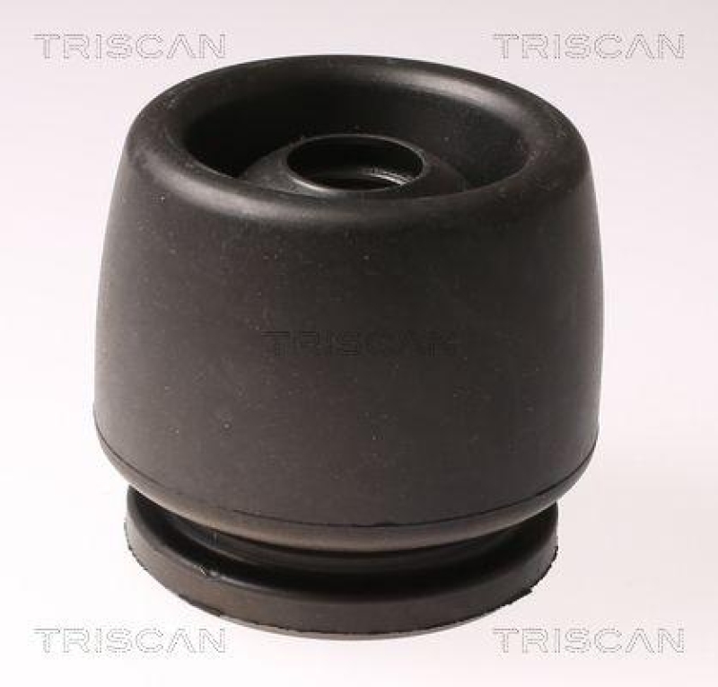 TRISCAN 8540 15901 Manchettensatz f&uuml;r Fiat 127, 128, Ritmo, Pand