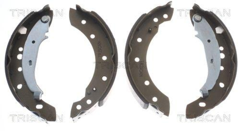 TRISCAN 8100 28052 Bremsbacken f&uuml;r Peugeot 206