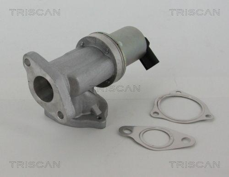 TRISCAN 8813 43002 Agr Ventil f&uuml;r Hyundai/Kia