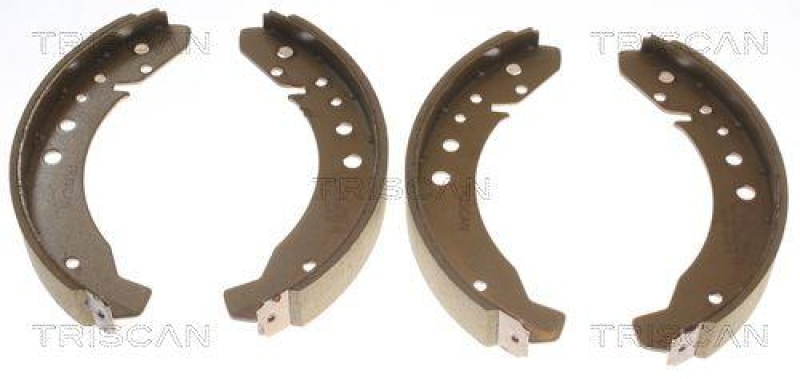 TRISCAN 8100 29105 Bremsbacken f&uuml;r Vw:1200,1300.