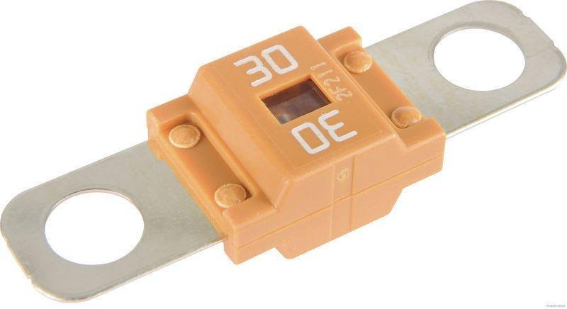 HERTH+BUSS 50295831 Sicherung MIDI, 32 V, M6, 30 A